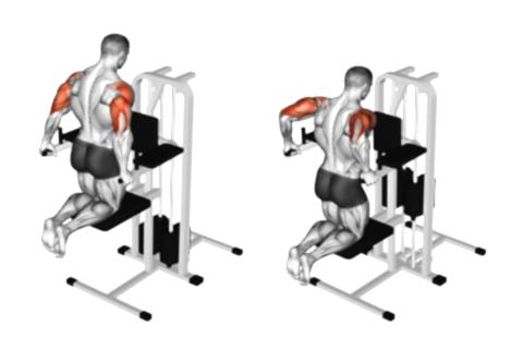 Assisted Dips