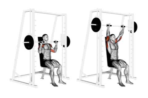 Barbell Overhead Press