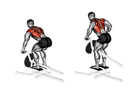 Bend Over Rows At T-bar