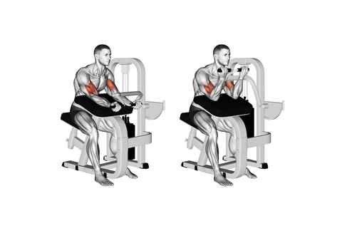 Biceps Presses On Machine