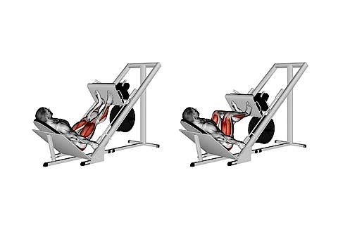 Leg Press
