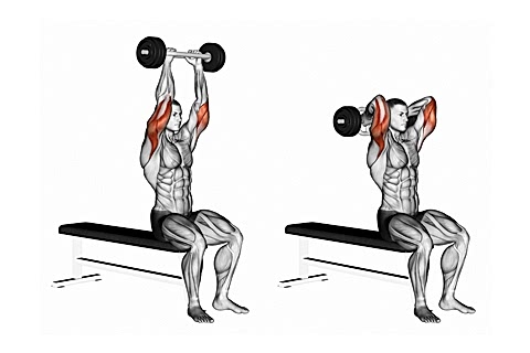 Overhead Tricep Presses (Seated)