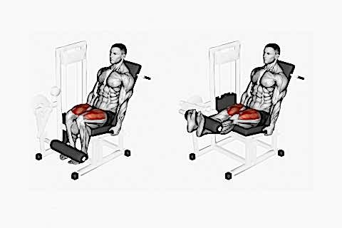 Quads Knee Extension Machine
