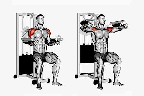 Reverse Biceps