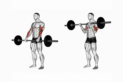 Standing Reverse Bar Curls